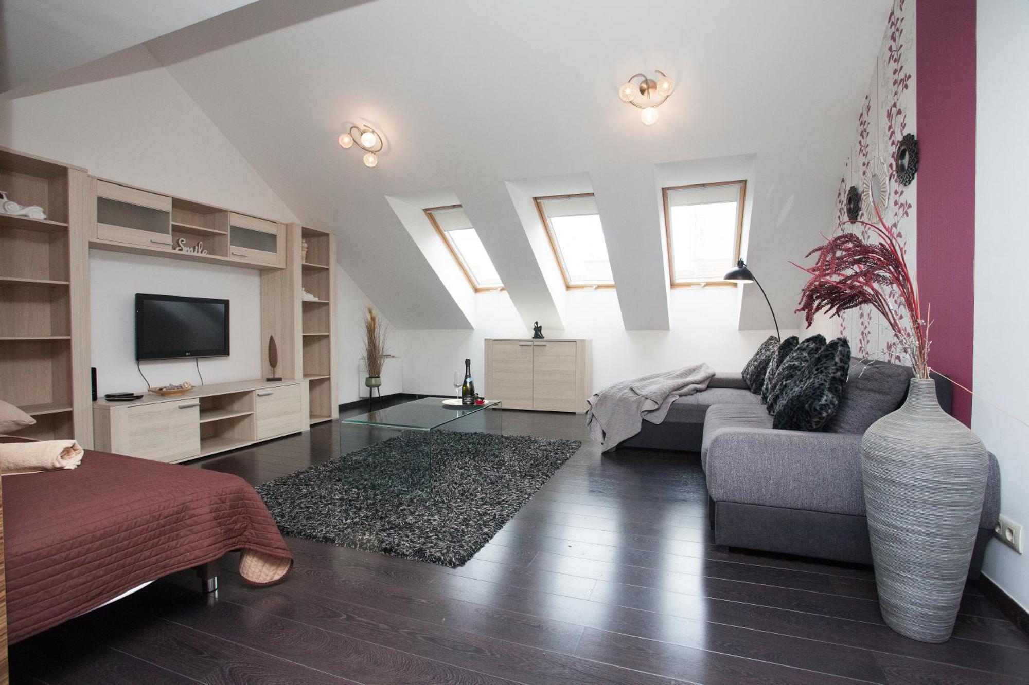 Penthouse Apartment