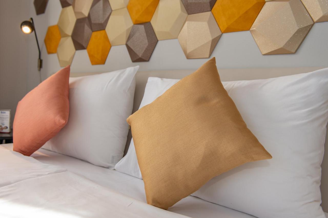 Quarto Premium Plus
