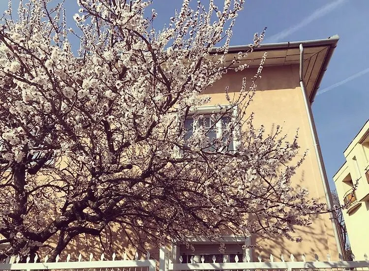 Kis Gellert Guesthouse-1