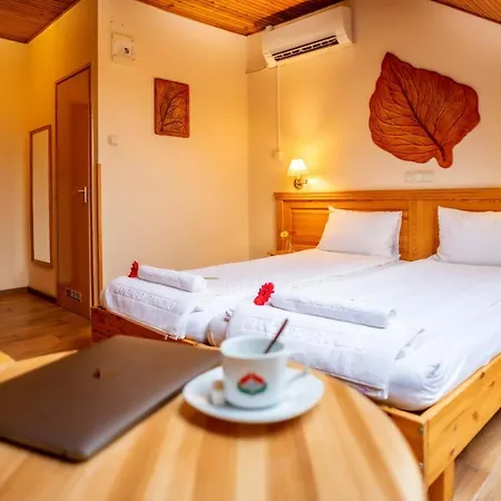 Hotel Manzard Panzio-3