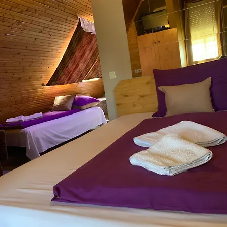Sashalom Hotel-2