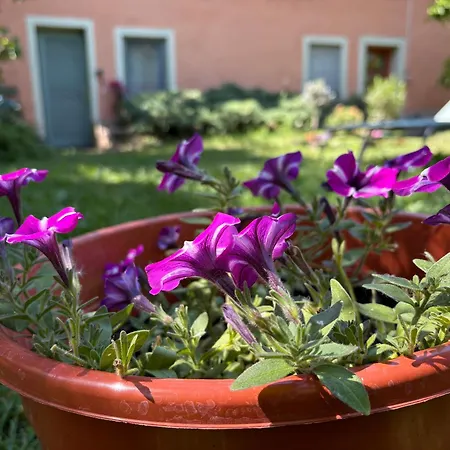 The Buda Side Garden - Dorms & Private Rooms-3