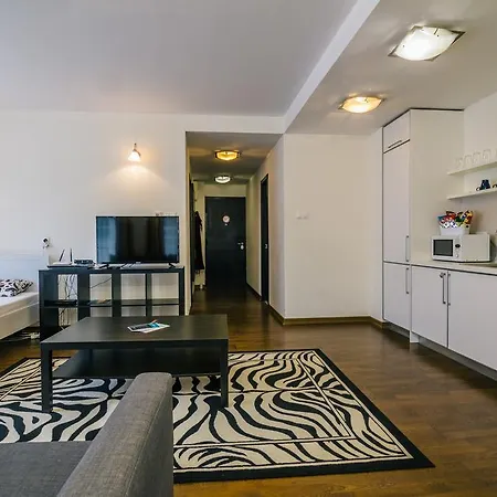 Luxury Downtown Apartments-2