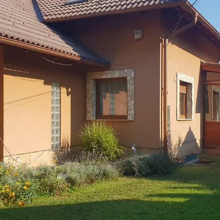 Szent László-3